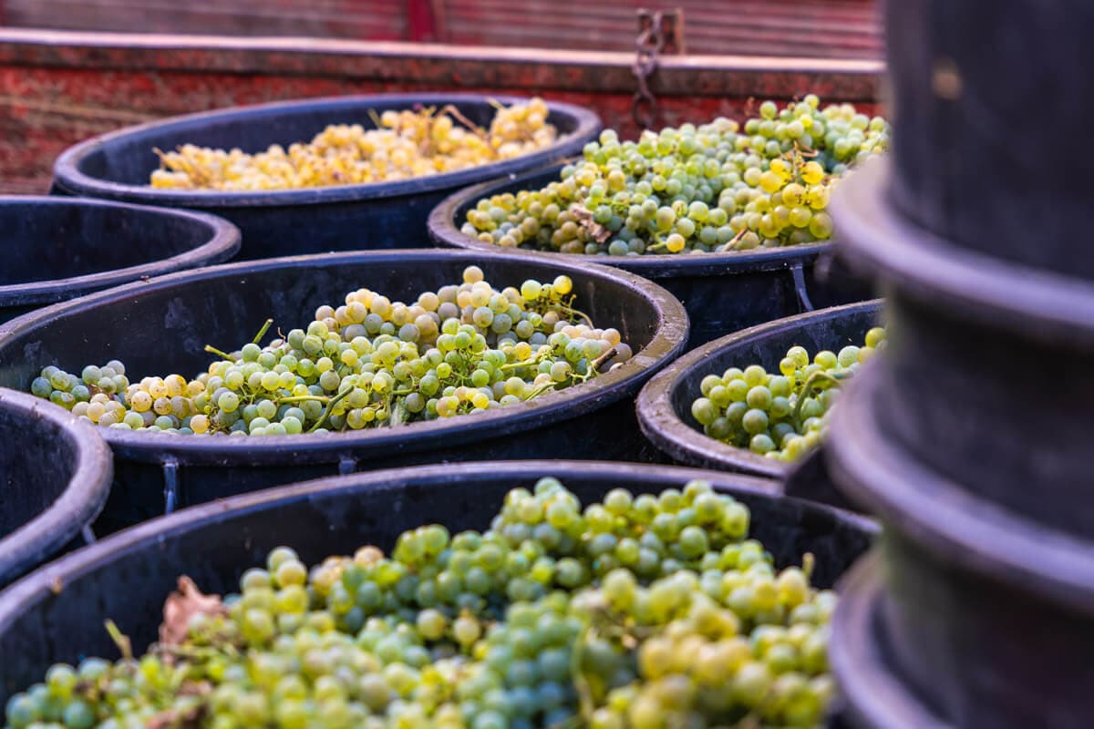 Promotiefilm die aandacht grijpt