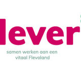 Flever Logo 